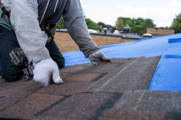 Best Storm Damage Roof Repair  in Blue Ridge, GA