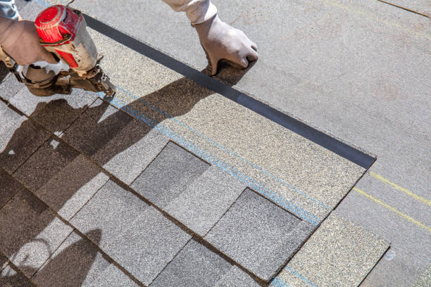 Best Roof Restoration Services  in Blue Ridge, GA